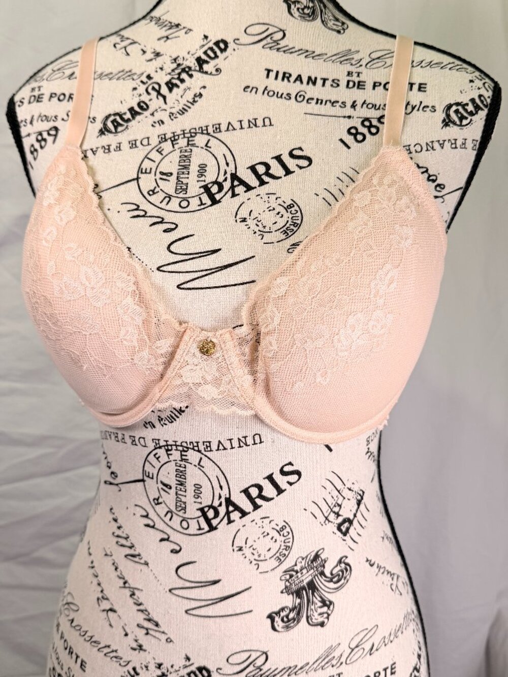 Natori 36C Push Up Lace Bra Blush Pink Underwire Padded Feminine